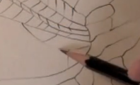Mono pencil varied line pressure