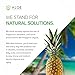 Aloe Infusion Body and Face Moisturizer - Natural Moisturizing Cream with Organic Aloe Vera - Skin Care for Dry Skin, Anti Wrinkle, Acne Scars, Rosacea, Psoriasis Eczema Cream Lotion for Men and Women