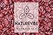 Naturevibe Botanicals Dried Cranberries (Sweetened), 1lbs | Natural and Healthy Snack | Dried Fruit (16 ounces)