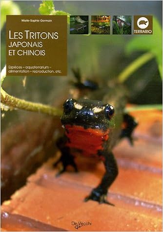 Les Triton Japonais Et Chinois Amazon Fr Germain Marie Sophie Livres
