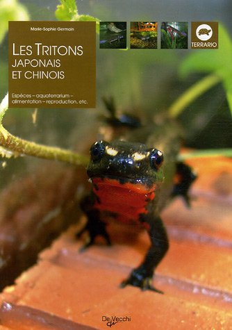 Les  tritons japonais et chinois