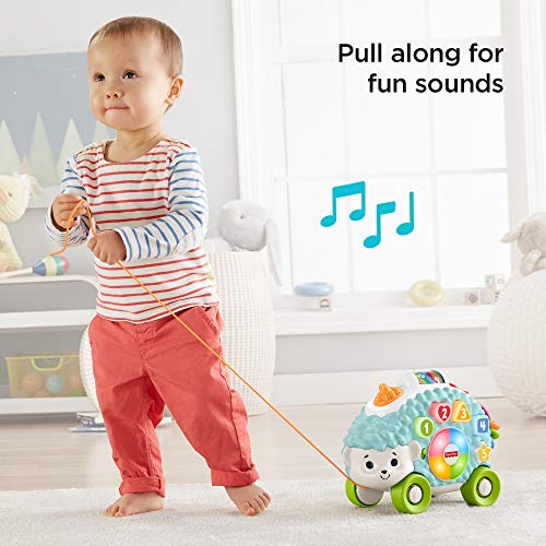 Fisher-Price-Linkimals-Happy-Shapes-Hedgehog-Interactive-Educational-Toy-with-Music-and-Lights-for-Baby-Ages-9-Months-Up-Multi-Color