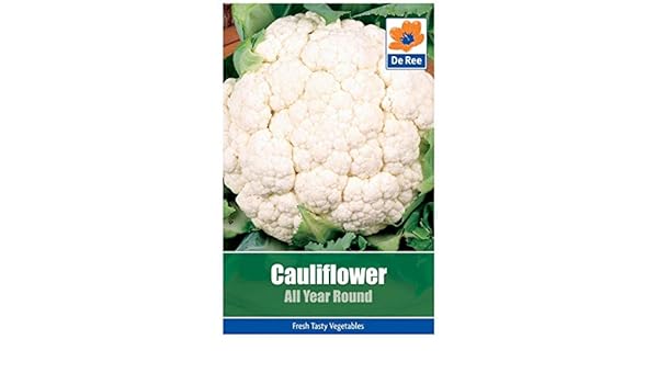 Portal Cool 2 Paquetes de la Coliflor Durante Todo el Aã±o ...