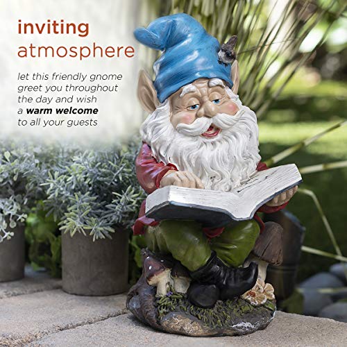 Alpine Gnome Reading a Book Statue, 14 Inch Tall Pricepulse