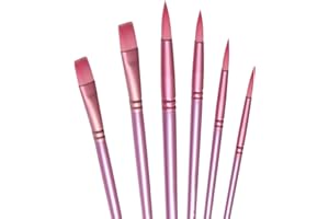 aderroo Acrylic Paint Brush Set, 6 pcs Watercolor Brushes, Painting Brush Nylon Hair Brushes for All Purpose Oil Watercolor Painting Beginner Kits (6, Pink)