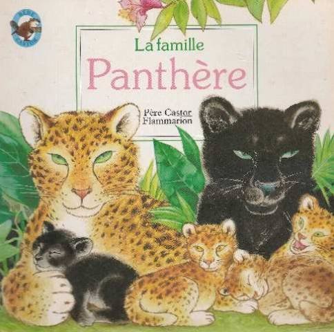 Famille Panthere La Bebe Castor Albums A Fronsacq Anne Amazon Com Books Famille Panthere La Bebe Castor Albums A Fronsacq Anne Amazon Com Books