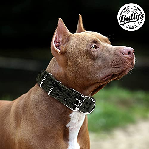 Pit Bull Collar, Dog Collar for Large Dogs, Heavy Duty Nylon, Stainless Steel Hardware (XL, Fire