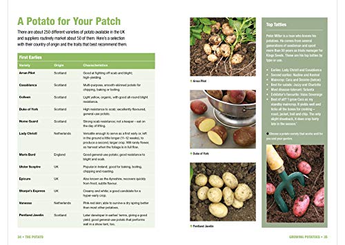 image for The Potato: History, culture and varieties - Growing and storing your 