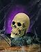 Rubies Costume Rubbr Skull-Foam Filled Costume