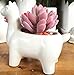 Youfui Cute Animal Succulent Planter Flower Pot Decor for Home Office Desk (Alpaca)