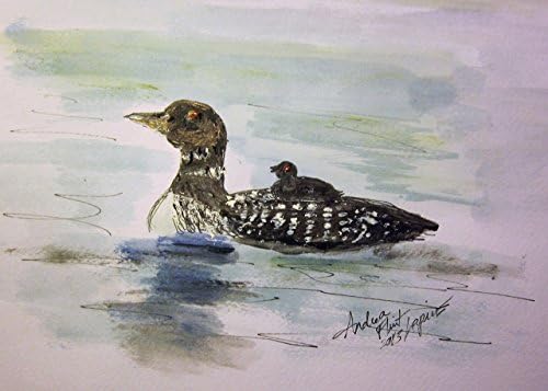 Loons, have water colored a mother and baby loon ,Art Prints, Forest Animals, Loons, Loon and Baby, Bird Art,Original Art Print, Andrea Lapins Art, Loons