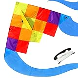 emma kites Rainbow Ghost 60in Delta Kite Rainbow Splicing for Beginner Kids Adults Easy to Fly - RTF kit Including 320ft Kite String - Spring Breeze, Outdoor Games Activities