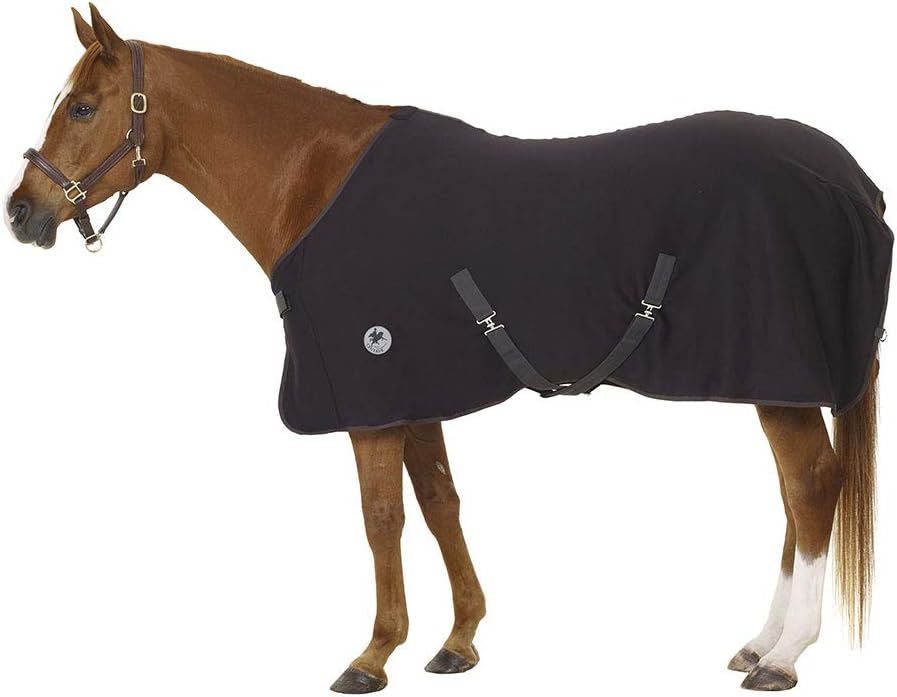 CENTAUR TurboDry Cooler Horse Black Sports & Outdoors