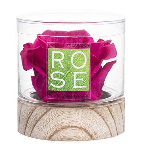 Sustainable Home Scent 12oz. A Real Fragrance Flower with Lasting abilities Similar to Scented Candle, Wax and Aroma Diffuser (Purple/Fragrance ILE de Jacaranda)