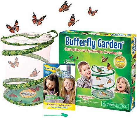 Insect Lore Butterfly Garden Packaging May Vary Amazon Co Uk Toys Games