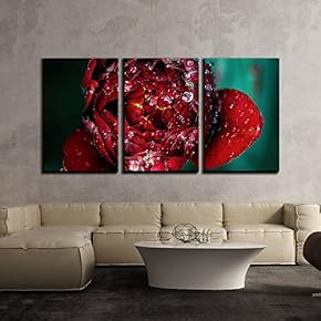 3 Piece Canvas Wall Art - Beautiful Red Flower with Rain Drops - Modern Home Art Stretched and Framed Ready to Hang - 16"x24"x3 Panels
