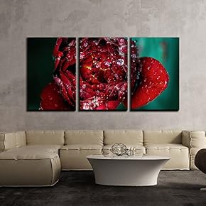 Beautiful Red Flower with Rain Drops x3 Panels