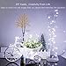 String Lights, CrazyFire LED Fairy String Light 33ft 100 LEDs Waterproof Decorative Starry Lights for Bedroom, Patio, Parties (Copper Wire Lights, Cool White)