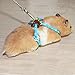 Pet Rat Mouse Leash Lead Harness Adjustable Rope Hamster Finder Bell