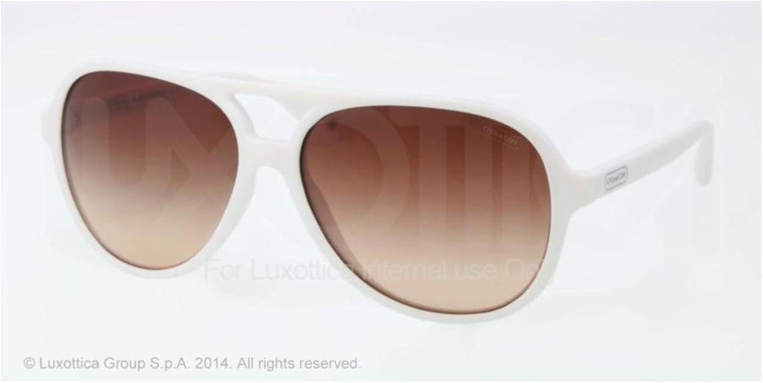 coach daisy sunglasses