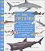 Les requins by 