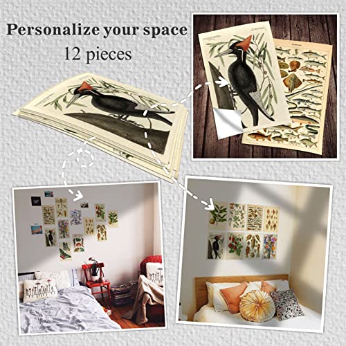 HK Studio Vintage Botanical Wall Art Decal for Dorm, Teen Room Decor