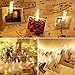 Yeeteching Photo Clip String Light, 17FT Fairy String Lights with 40 Clear Clips Battery Operated for Hanging Pictures,Birthday Party,Dorm Bedroom (USB Clip Lights)