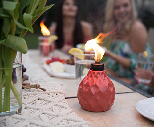 5 6+Inch+Marine+Seaside+Escape+3+Pack