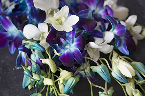 Starry Night in the Tropics: Bouquet of 5 Blue Dendrobium Orchids & 5 White Dendrobium Orchids from Thailand with Free Vase Included - Thumbnail 2