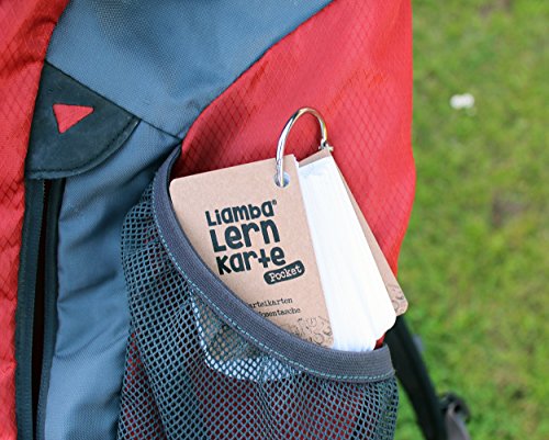 Liamba Karteikarten A8 Pocket Set 2 x 100 Lernkarten in kompakter Karteikartenbox mit Metallringen aus FSC Recyclingpapier farbigen Karten für Schule Studium und unterwegs – Bild 4