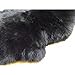 A-STAR (TM) Sheepskin Rug Single Pelt Sheep Fur 2 x 3 - Sheep Skin (Black)
