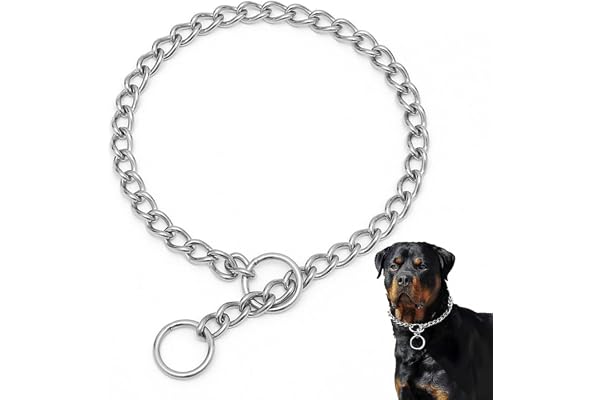 Stainless Steel Slip P Dog Chain Choker Collars for Small Dogs, Link Training Choke Collar Martingale Collars Puppy Chain for