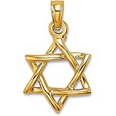 JewelryWeb 14k Gold Religious Judaica Star of David High Polish Jewish 18.4mm long Pendant Necklace for Women