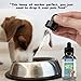 Pet Club Brothers Full Spectrum Hemp Oil Dogs Cats (250mg) - Grown & Made in USA - Supports Hip & Joint Health, Natural Relief Pain, Separation Anxiety - Organic Extract - Non-GMO