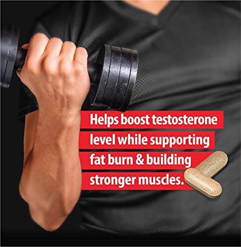 LABSMEN Testosterone Booster for Men (Test Booster) As Testosterone Supplement for Men w/Natural Stamina, Endurance & Strength - 60 Tablets (1)