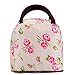 Chrysansmile Waterproof Picnic Lunch Bag Tote Insulated Cooler Travel Zipper Organizer Box