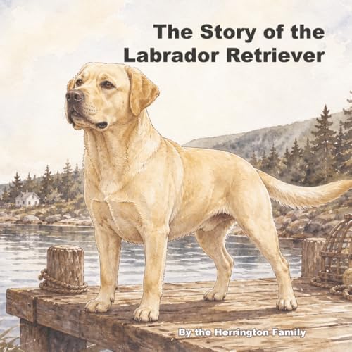 The Golden Retriever: All That Glitters (Howell's Best of Breed