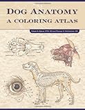 Dog Anatomy: A Coloring Atlas by Robert Kainer, Thomas O. McCraken