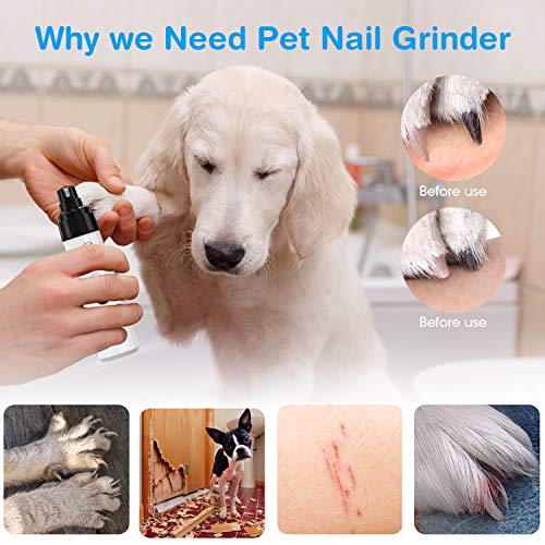 Belita Amy Dog Nail Grinder-Electric Dog Nail Trimmer Clipper, 2-Speed Low Noise Rechargeable Pet Nail Trimmer, Painless Paws Grooming and Smoothing for Small Medium Large Dogs and Cats
