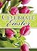 Secret Sister - All Occasion - KJV and N(V Scripture Greeting Cards - (Box of 12)