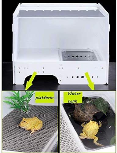 エコロジーカエルテラリウム 両生類のヘビクモカメレオンタンクウォッチヘッジホッグトカゲヤモリ飼育台パノラマ Size 35 5 30 26 5cm B07xsld5kc 5 1円 全品最安値に挑戦 70 Offアウトレット 新作 人気の定番 ランキング総合1位