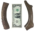 Antlers for Dogs 2 pack Large deer antler bones Premium grade dog chews. 6-8 inches long & Guaranteed to weigh at least 3/4 of a pound!