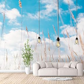 Wall Murals for Bedroom Beautiful Pictures Collection Removable Wallpaper Peel and Stick Wall Stickers - 66x96 inches