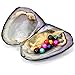 JNMM Pearl Oyster Freshwater Cultured with 10 Mix Color Round Love Wish Oysters with Pearls Inside 10 Colors (6-8mm), Valentines Mothers Day Birthday Pearl Wedding Party (Total 10 Pearls)