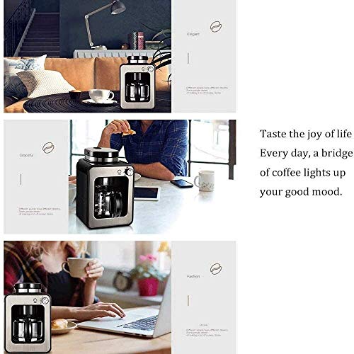Kaffee-Maschine, Multifunktions Kleine Mini Filterkaffeemaschine - mit 0,6-Liter-Glaskaffeekanne verwendet Werden, um… – Bild 4