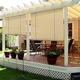TANG Exterior Roller Shade Roll up Shade for Patio