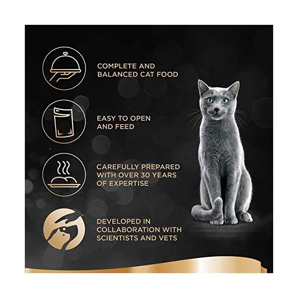 Sheba-Fine-Flakes-in-Jelly-Poultry-Collection-Wet-Cat-Food-Pouches-for-Adult-Cats-72-x-85-g-Pack Sheba Fine Flakes in Jelly – Poultry Collection – Wet cat food pouches for adult cats – megapack (72 x 85 g)