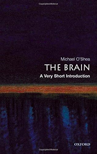 Download The Brain: A Very Short Introduction PDF