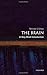 The Brain: A Very Short Introduction
