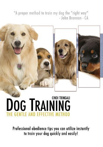 professional dog obedience training